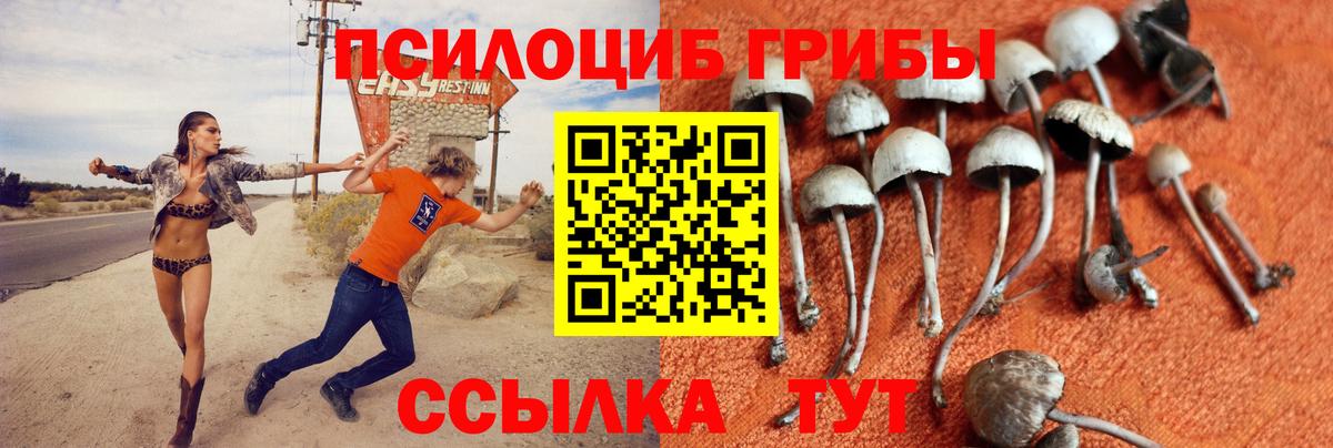 Надым  Галлюциногенные грибы Psilocybine cubensis  Вход с VPN 